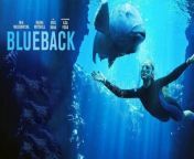 Storyline: During a dive in the ocean, young Abby makes friends with a magnificent wild bluefish who she names Blueback. When her coastal town&#39;s tranquil coral reef begins to attract commercial fishing operators, Abby realizes that Blueback and all marine wildlife are in danger. Together with her activist mother she does everything to protect the bay and her beloved friend, experiencing a great adventure.