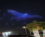 Drone show in Abu Dhabi - giant falcon from aida abu nuwar