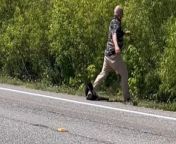 This man was driving home when he came across an otter lying in the middle of the road, injured in a car accident.&#60;br/&#62;&#60;br/&#62;He stopped and tried to move the otter to safety.&#60;br/&#62;&#60;br/&#62;However, his good intentions took an unexpected turn.&#60;br/&#62;&#60;br/&#62;As he reached out to slide the otter to the side of the road, the frightened creature clung tightly to his leg.&#60;br/&#62;&#60;br/&#62;Despite his efforts to shake it off gently, the otter held on firmly, causing a bit of chaos as the man struggled to free himself from the persistent otter&#39;s grip.&#60;br/&#62;&#60;br/&#62;With each tug, the otter held on tighter, turning what was meant to be a simple act of kindness into a slightly chaotic encounter.&#60;br/&#62;Location: Lakeland, United States&#60;br/&#62;WooGlobe Ref : WGA460925&#60;br/&#62;For licensing and to use this video, please email licensing@wooglobe.com