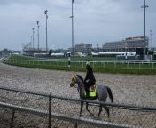 Undefeated Japanese Horse Aimed at Kentucky Derby Win from www japan sex video com vi