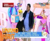 Kilalanina ang cute na bisita ng Unang Hirit na si Tweet Tweet the Ostrich! Panoorin ang video&#60;br/&#62;&#60;br/&#62;Hosted by the country’s top anchors and hosts, &#39;Unang Hirit&#39; is a weekday morning show that provides its viewers with a daily dose of news and practical feature stories.&#60;br/&#62;&#60;br/&#62;Watch it from Monday to Friday, 5:30 AM on GMA Network! Subscribe to youtube.com/gmapublicaffairs for our full episodes.&#60;br/&#62;&#60;br/&#62;
