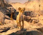 Watch the official teaser trailer for the musical adventure movie Mufasa: The Lion King, directed by Barry Jenkins.&#60;br/&#62;&#60;br/&#62;Mufasa: The Lion King Cast:&#60;br/&#62;&#60;br/&#62;Donald Glover, Seth Rogen, Billy Eichner, John Kani, Beyoncé Knowles-Carter, Aaron Pierre, Kelvin Harrison Jr., Tiffany Boone, Mads Mikkelsen, Thandiwe Newton, Lennie James and Blue Ivy Carter&#60;br/&#62;&#60;br/&#62;Mufasa: The Lion King will hit theaters December 20, 2024!