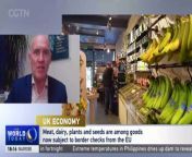 The Director General of the Institute of Export and International Trade Marco Forgione speaks to CGTN Europe and says there has been a lot of concern and doubt as to how the system is going to operate.