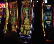 The NSW government&#39;s expanded cashless gaming trial has begun as the technology is rolled out at a venue on the far north coast. The trial will expand to a total of 4000 machines at 27 venues over the next three weeks.