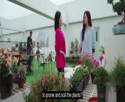 Step by Step Love (2024) ep 6 chinese drama eng sub