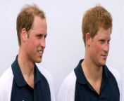 Prince Harry and Prince William inherited different sums due to their separate situations from prince narula nude
